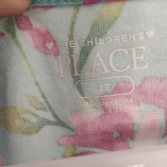 The Children's Place Aqua Floral Ruffle Sleeve Dress with Pink Blooms - Picture 2 of 5